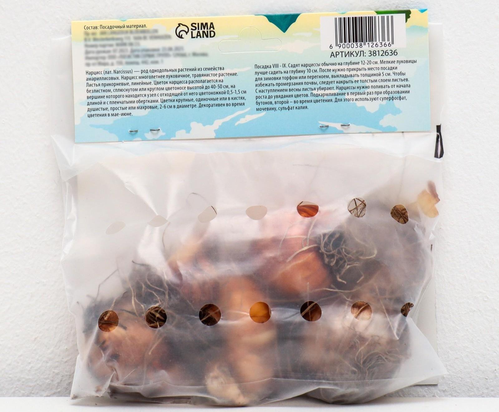 Нарцисс махровый Микс, р-р 12/14, 4 шт, Осень 2023