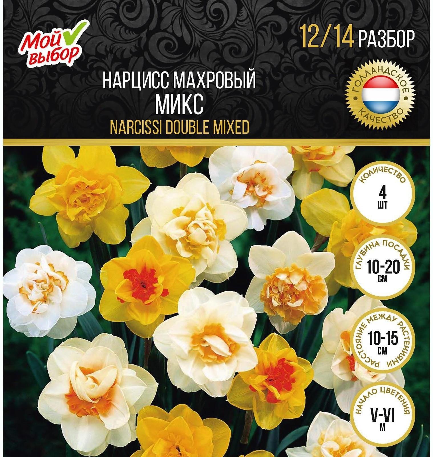 Нарцисс махровый Микс, р-р 12/14, 4 шт, Осень 2023