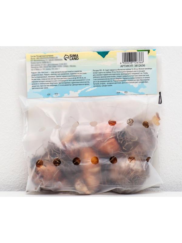 Нарцисс махровый Микс, р-р 12/14, 4 шт, Осень 2023