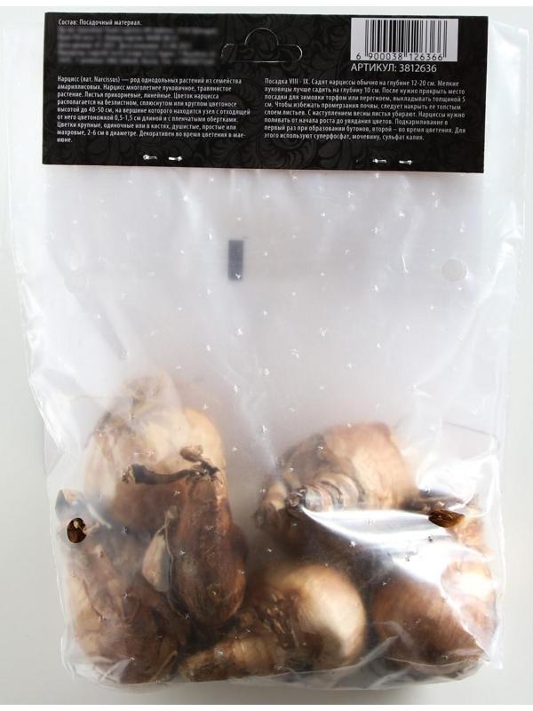 Нарцисс махровый Микс, р-р 12/14, 4 шт, Осень 2023