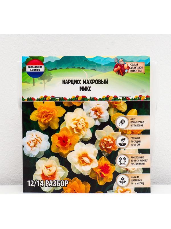 Нарцисс махровый Микс, р-р 12/14, 4 шт, Осень 2023