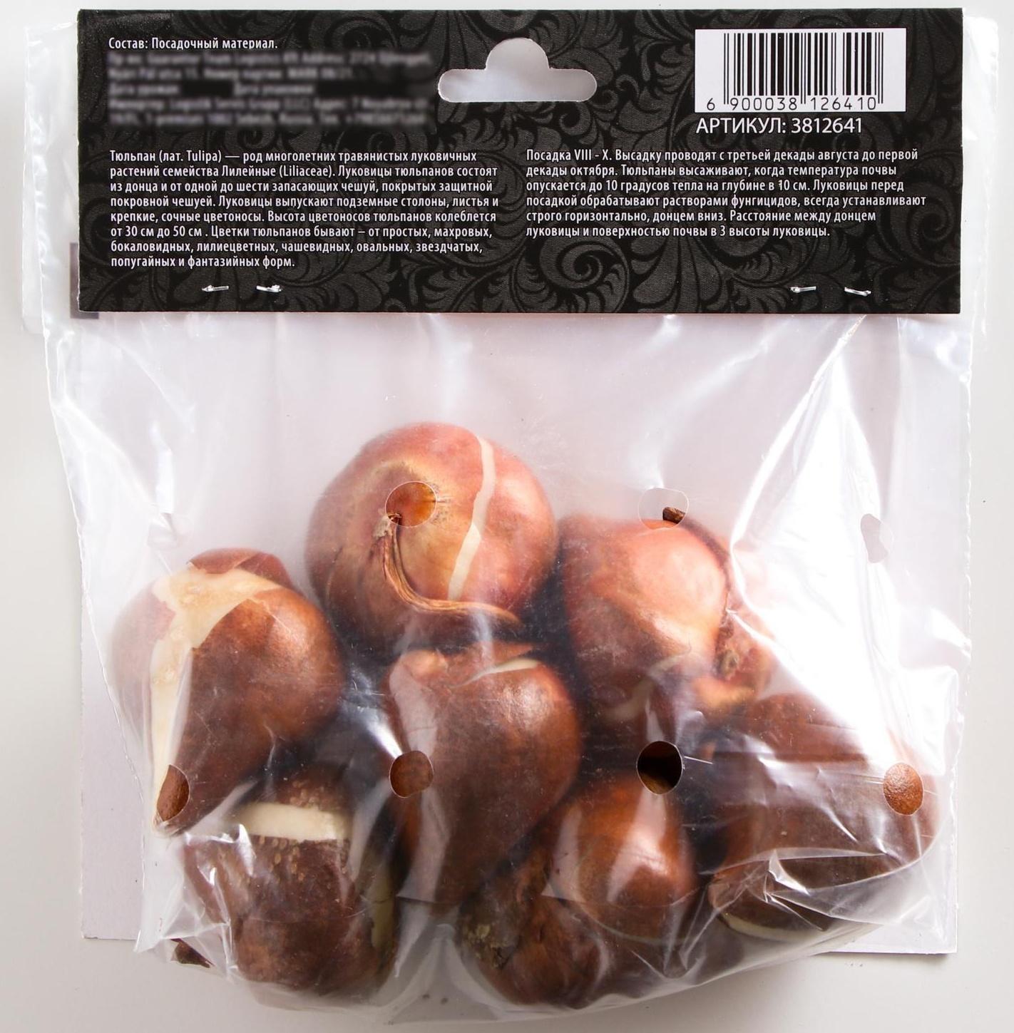 Тюльпан простой ранний Кэнди Принц, р-р 11/12, 5 шт