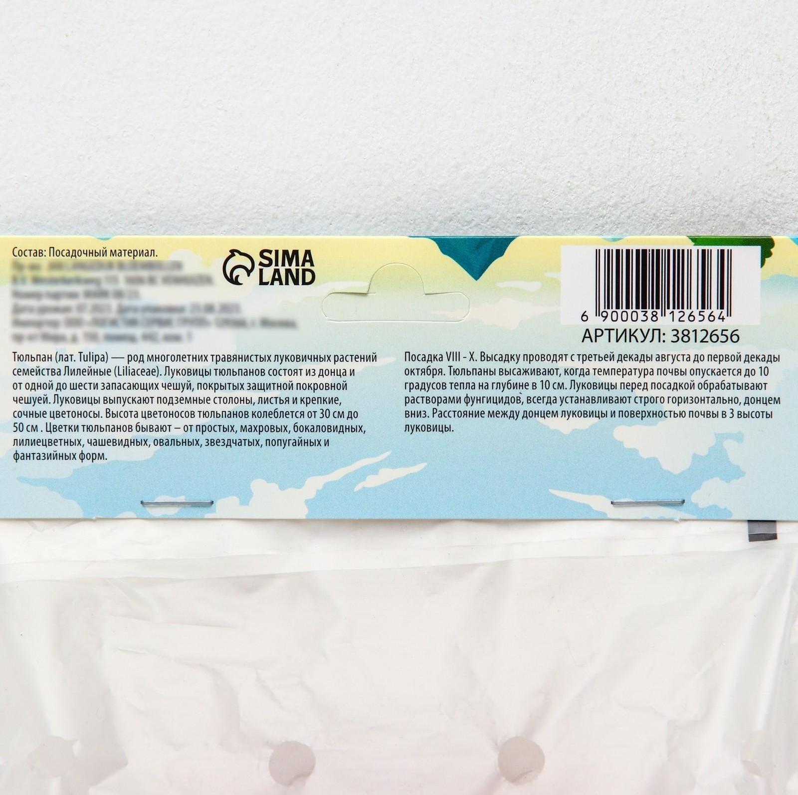 Тюльпан махровый ранний Фокстрот, р-р 11/12, 5 шт