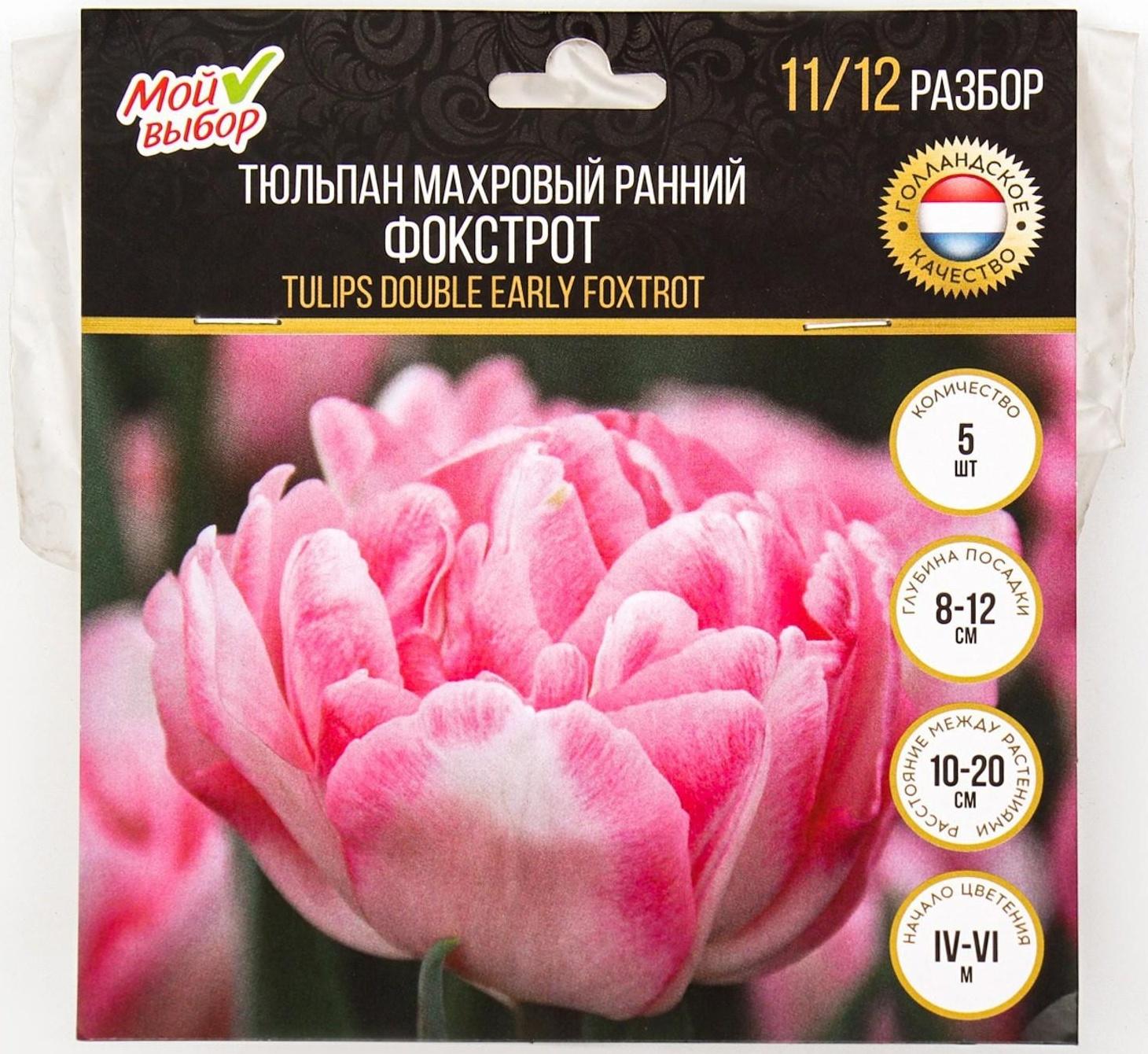 Тюльпан махровый ранний Фокстрот, р-р 11/12, 5 шт