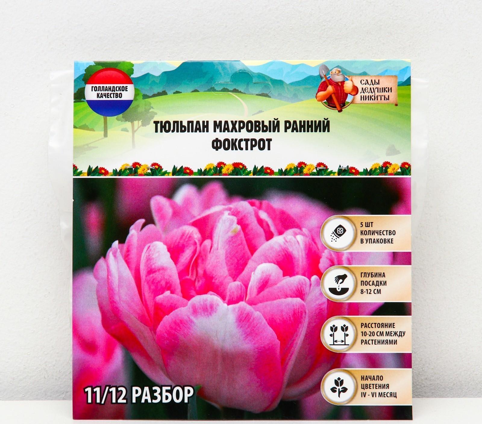 Тюльпан махровый ранний Фокстрот, р-р 11/12, 5 шт