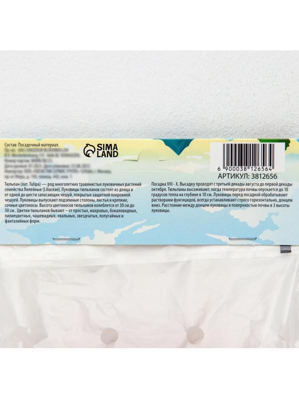 Тюльпан махровый ранний Фокстрот, р-р 11/12, 5 шт