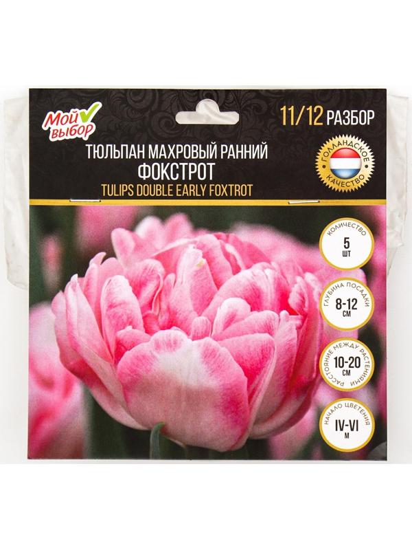Тюльпан махровый ранний Фокстрот, р-р 11/12, 5 шт