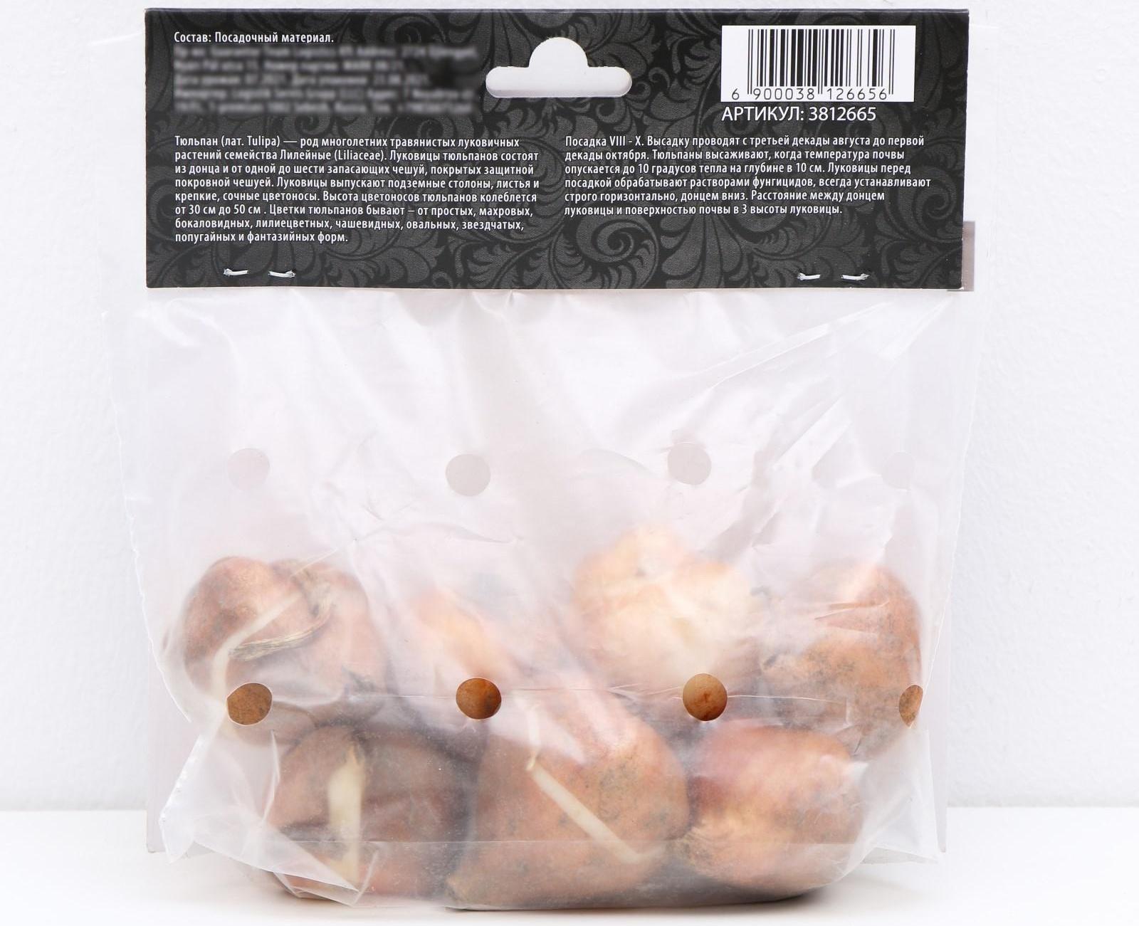 Тюльпан триумф Блу Бьюти , р-р 11/12, 5 шт