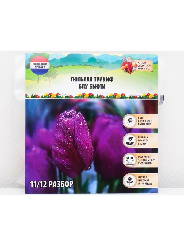 Тюльпан триумф Блу Бьюти , р-р 11/12, 5 шт