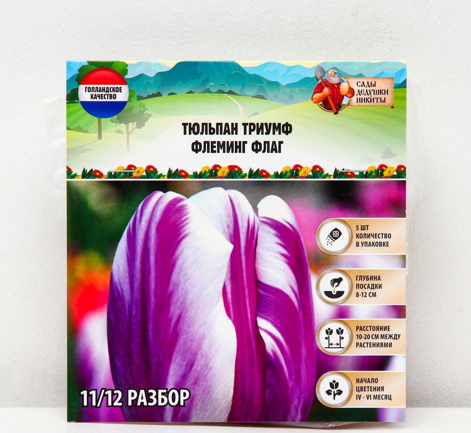 Тюльпан триумф Флеминг Флаг, р-р 11/12, 5 шт