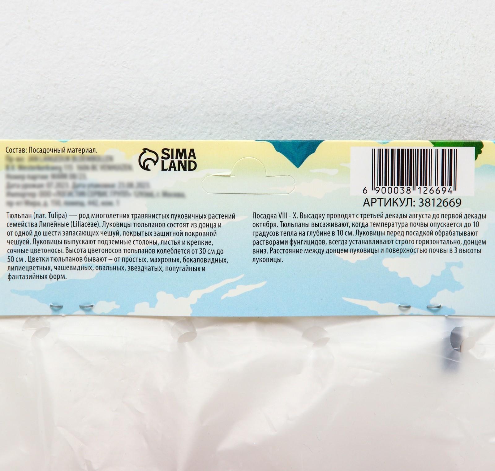 Тюльпан триумф Флеминг Флаг, р-р 11/12, 5 шт