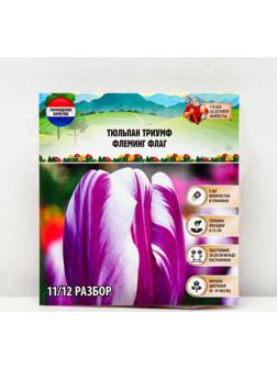 Тюльпан триумф Флеминг Флаг, р-р 11/12, 5 шт