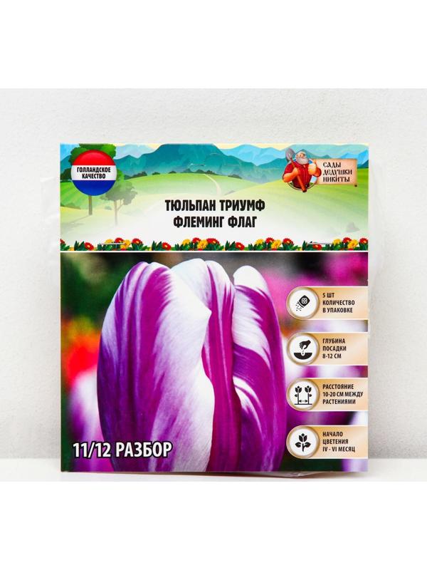Тюльпан триумф Флеминг Флаг, р-р 11/12, 5 шт