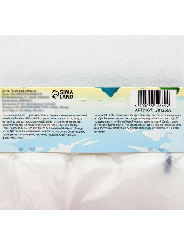 Тюльпан триумф Флеминг Флаг, р-р 11/12, 5 шт