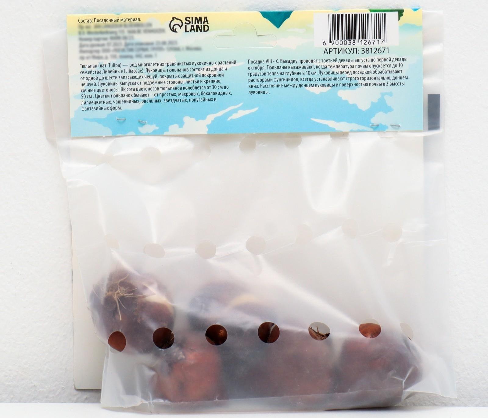 Тюльпан триумф Хэппи Дженерейшн, р-р 11/12, 5 шт