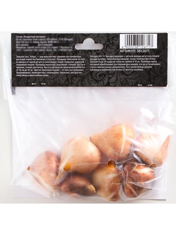 Тюльпан триумф Хэппи Дженерейшн, р-р 11/12, 5 шт