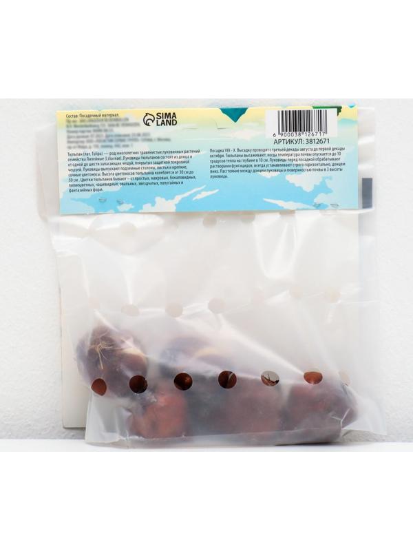 Тюльпан триумф Хэппи Дженерейшн, р-р 11/12, 5 шт