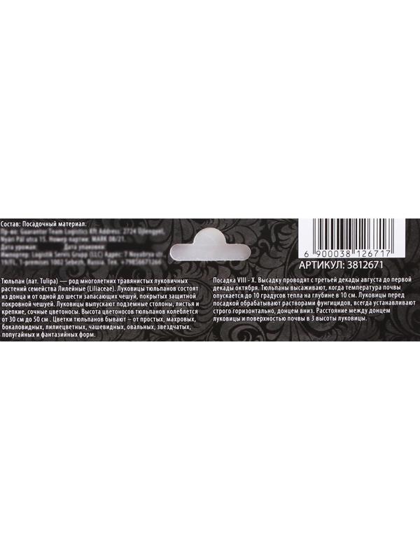 Тюльпан триумф Хэппи Дженерейшн, р-р 11/12, 5 шт