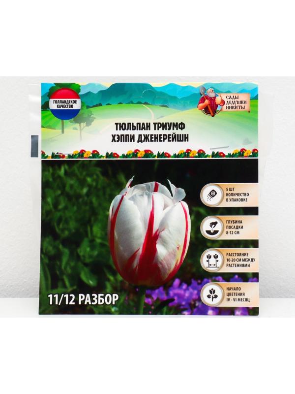 Тюльпан триумф Хэппи Дженерейшн, р-р 11/12, 5 шт