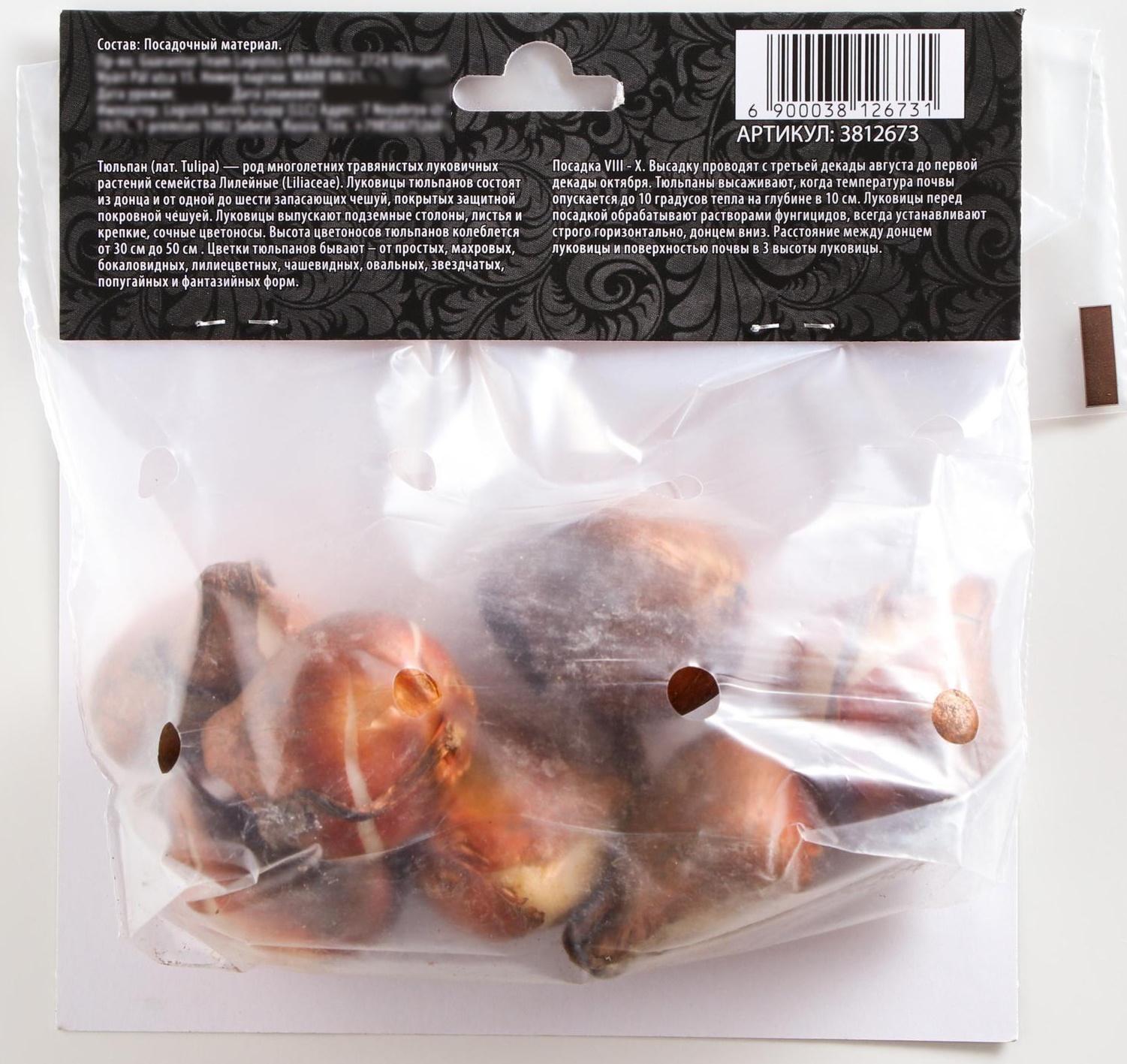 Тюльпан триумф Хелмар, р-р 11/12, 5 шт