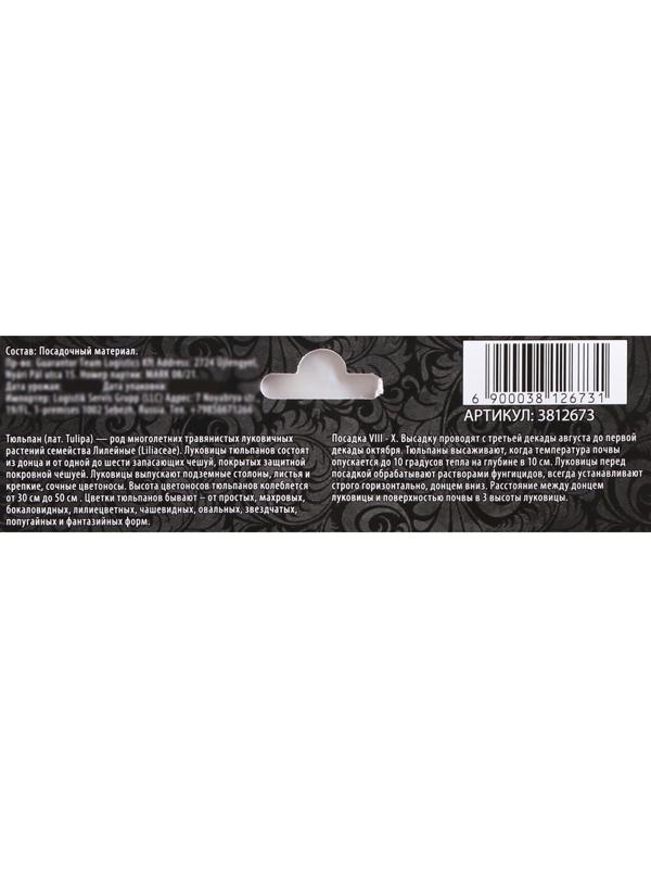 Тюльпан триумф Хелмар, р-р 11/12, 5 шт