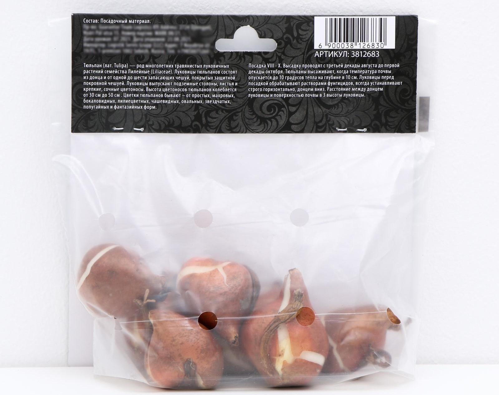 Тюльпан триумф Роналдо, р-р 11/12, 5 шт