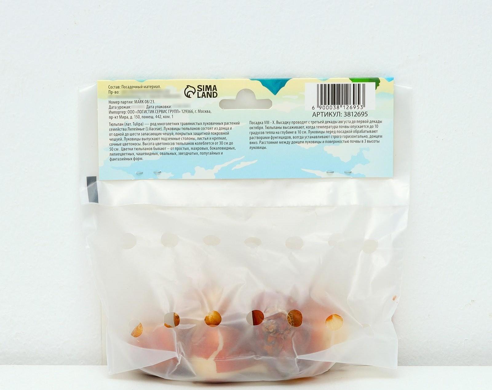 Тюльпан Дарвинов Банья Лука, р-р 11/12, 5 шт, Осень 2023