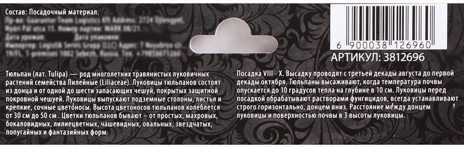 Тюльпан Дарвинов Голден Апельдорн, р-р 11/12, 5 шт