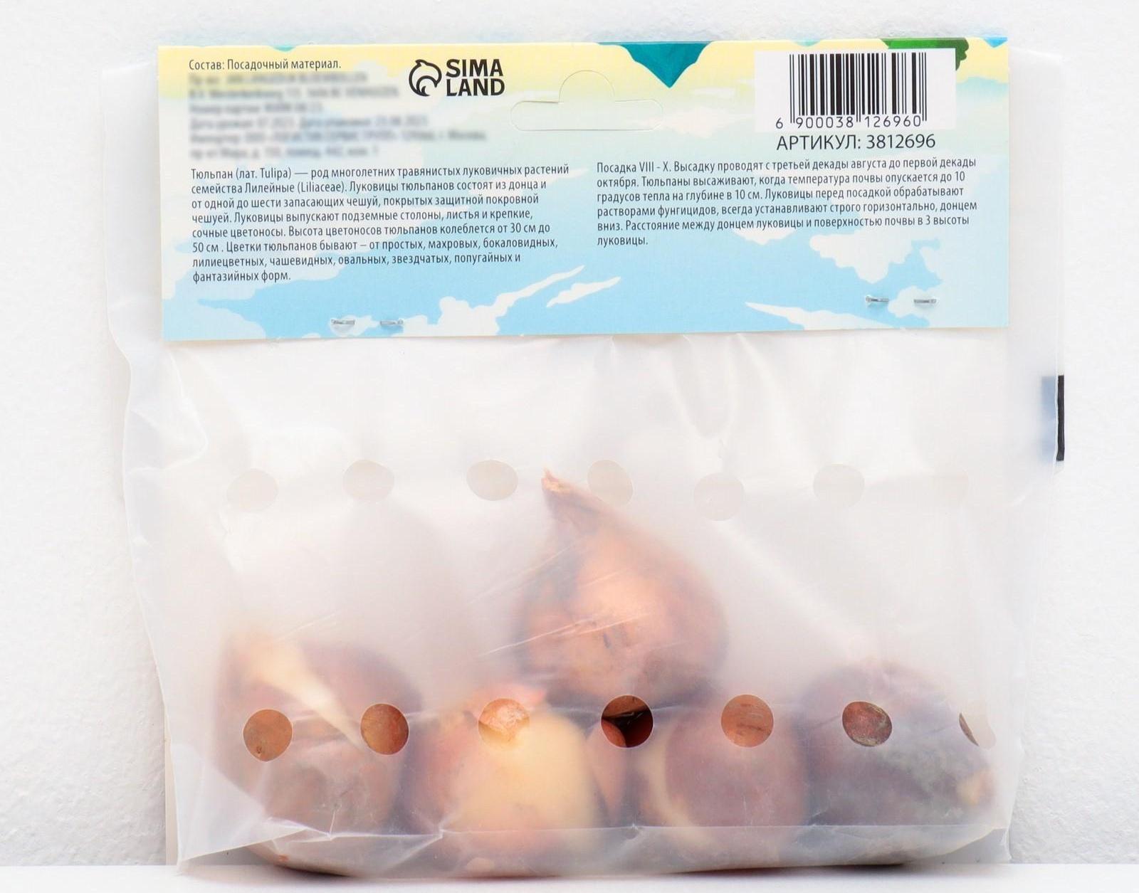 Тюльпан Дарвинов Голден Апельдорн, р-р 11/12, 5 шт