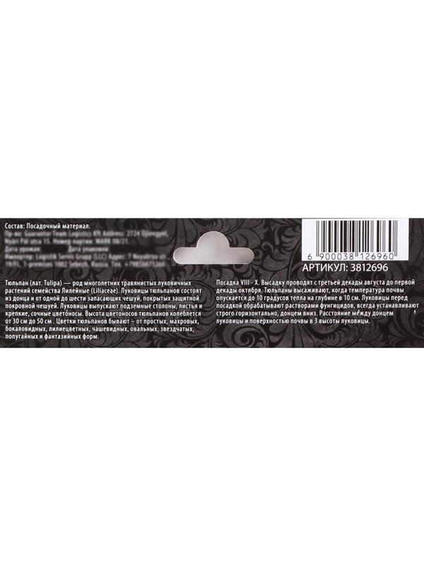 Тюльпан Дарвинов Голден Апельдорн, р-р 11/12, 5 шт