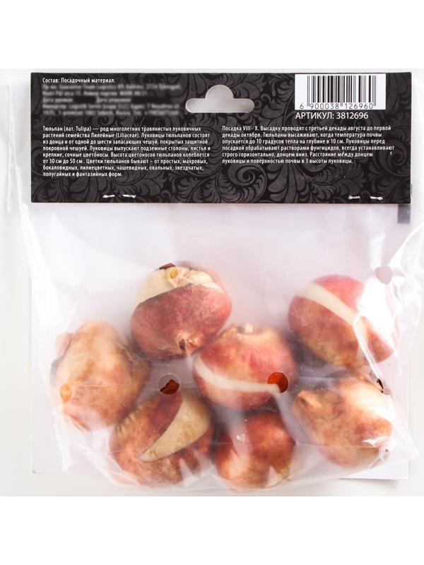 Тюльпан Дарвинов Голден Апельдорн, р-р 11/12, 5 шт