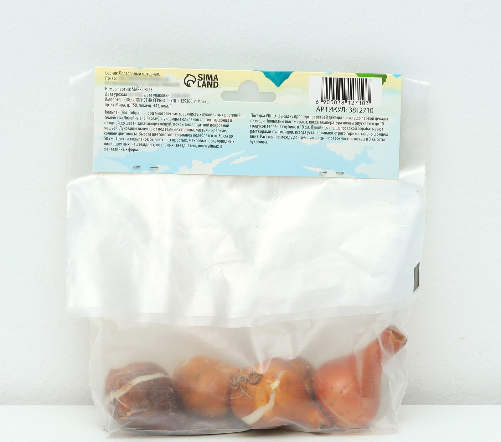 Тюльпан лилиецветный Элегант Леди, р-р 11/12, 5 шт, Осень 2023