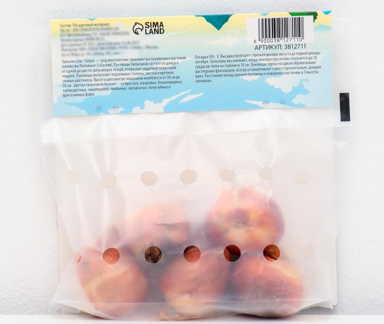 Тюльпан лилиецветный Трес Шик, р-р 11/12, 5 шт, Осень 2023