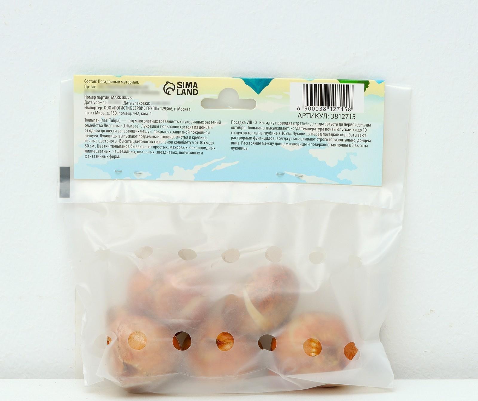 Тюльпан бахромчатый Канаста, р-р 11/12, 5 шт, Осень 2023