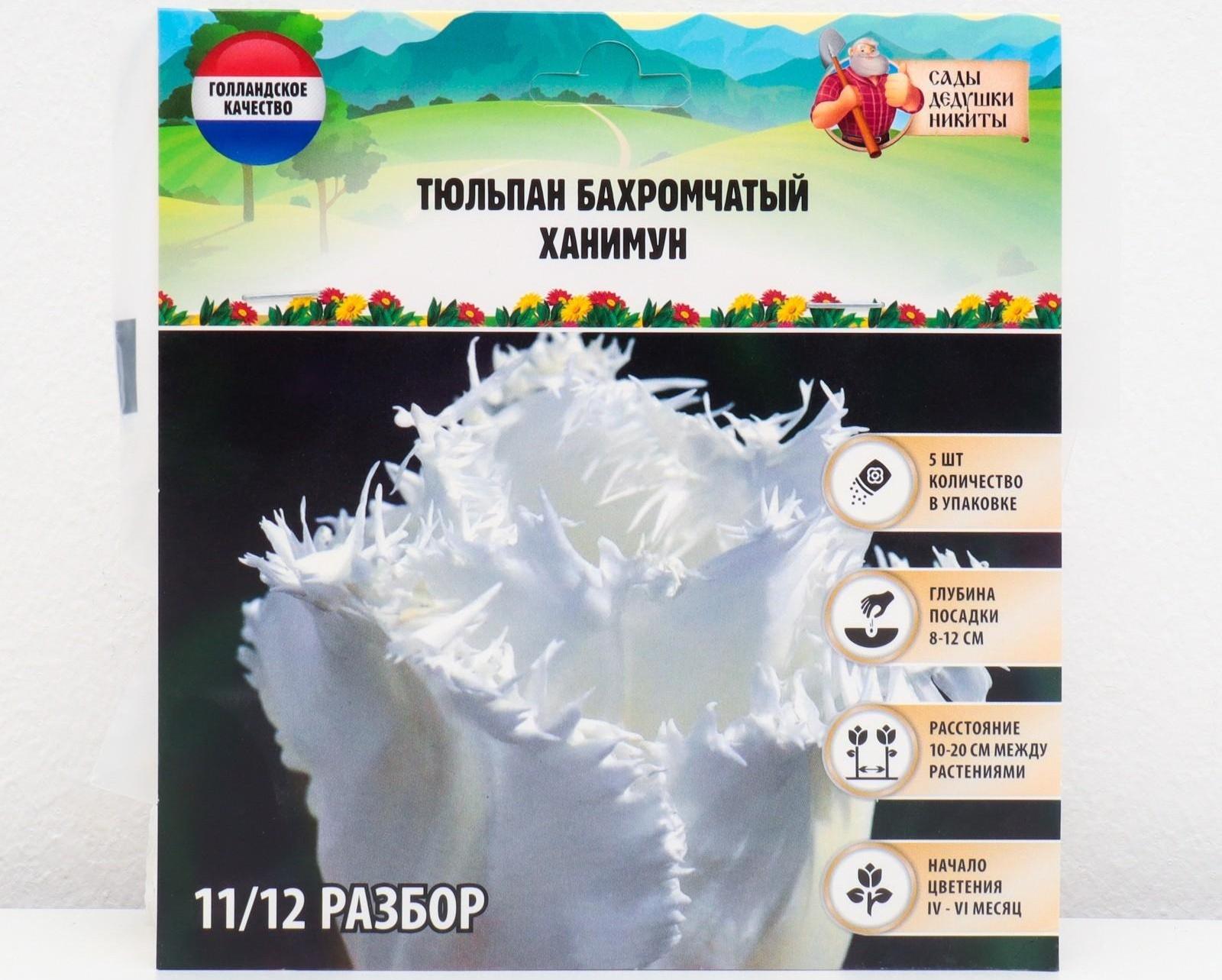 Тюльпан бахромчатый Ханимун, р-р 11/12, 5 шт, Осень 2023