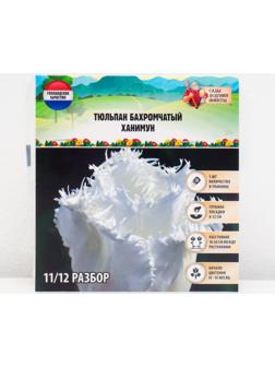 Тюльпан бахромчатый Ханимун, р-р 11/12, 5 шт, Осень 2023