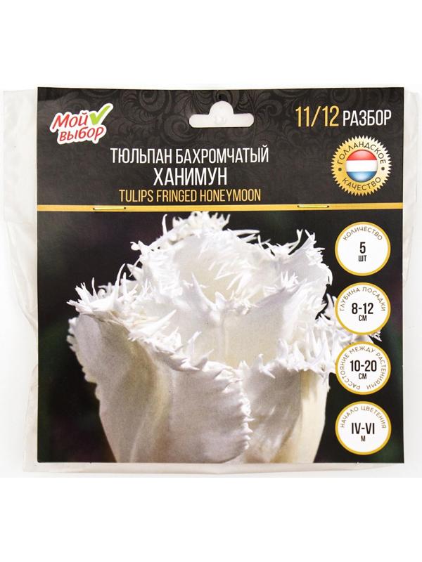 Тюльпан бахромчатый Ханимун, р-р 11/12, 5 шт, Осень 2023