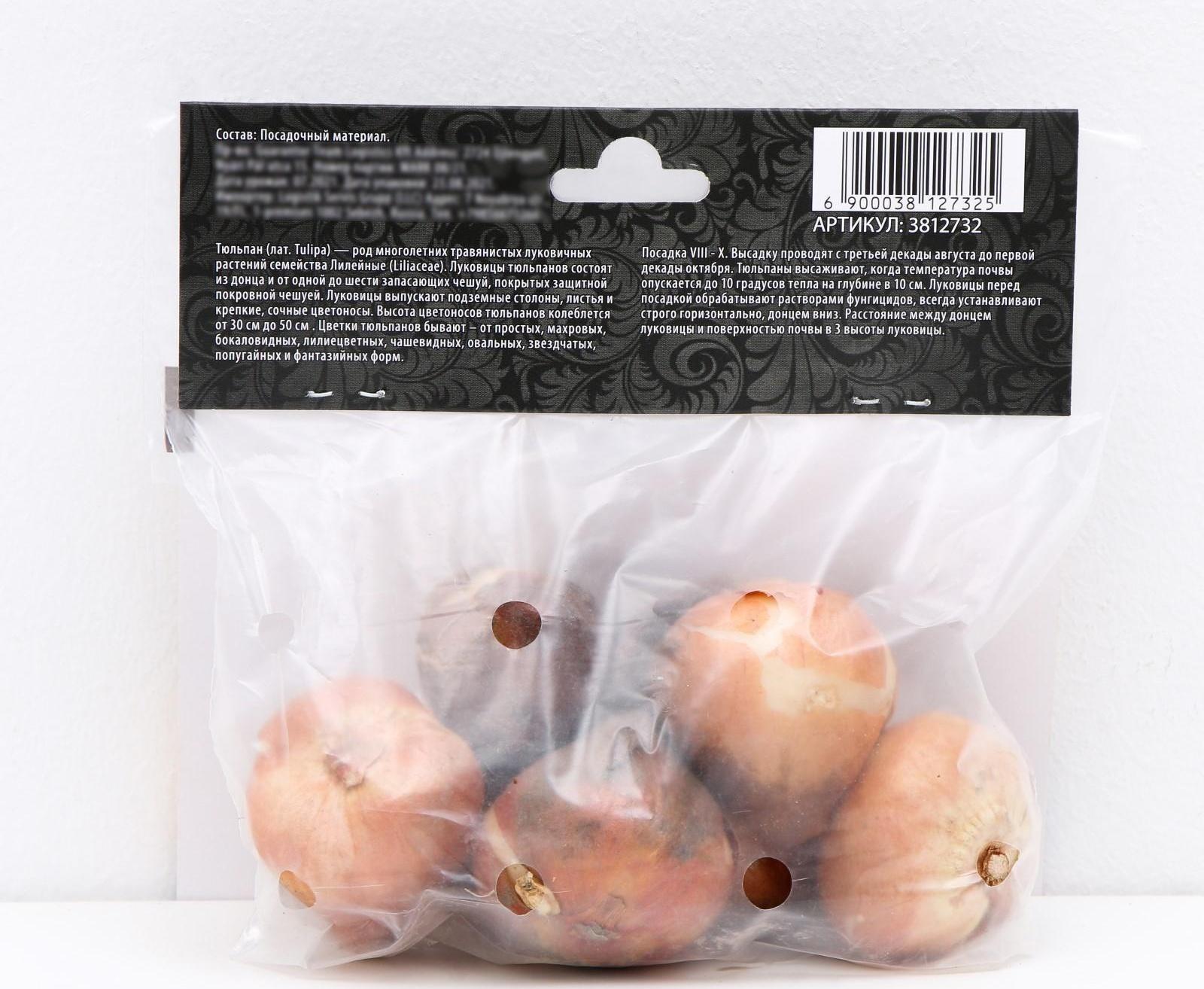 Тюльпан рембрандт Микс, р-р 11/12, 5 шт