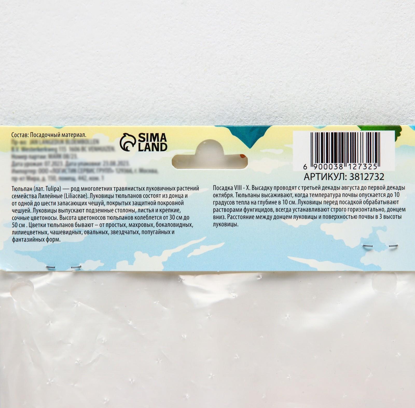 Тюльпан рембрандт Микс, р-р 11/12, 5 шт