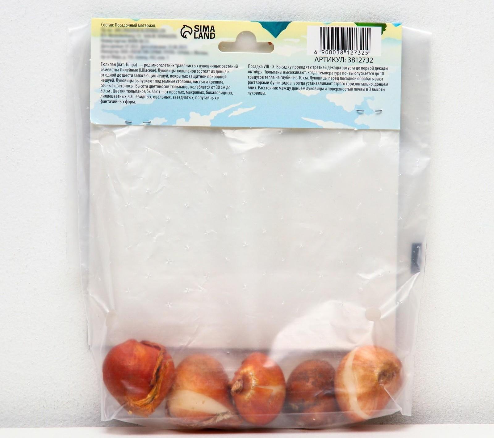 Тюльпан рембрандт Микс, р-р 11/12, 5 шт