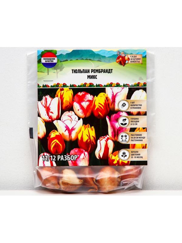 Тюльпан рембрандт Микс, р-р 11/12, 5 шт