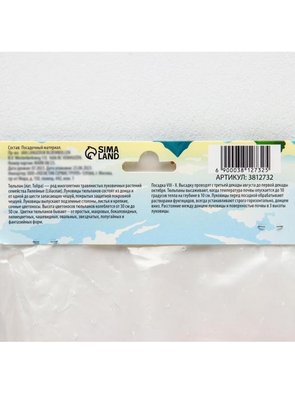 Тюльпан рембрандт Микс, р-р 11/12, 5 шт