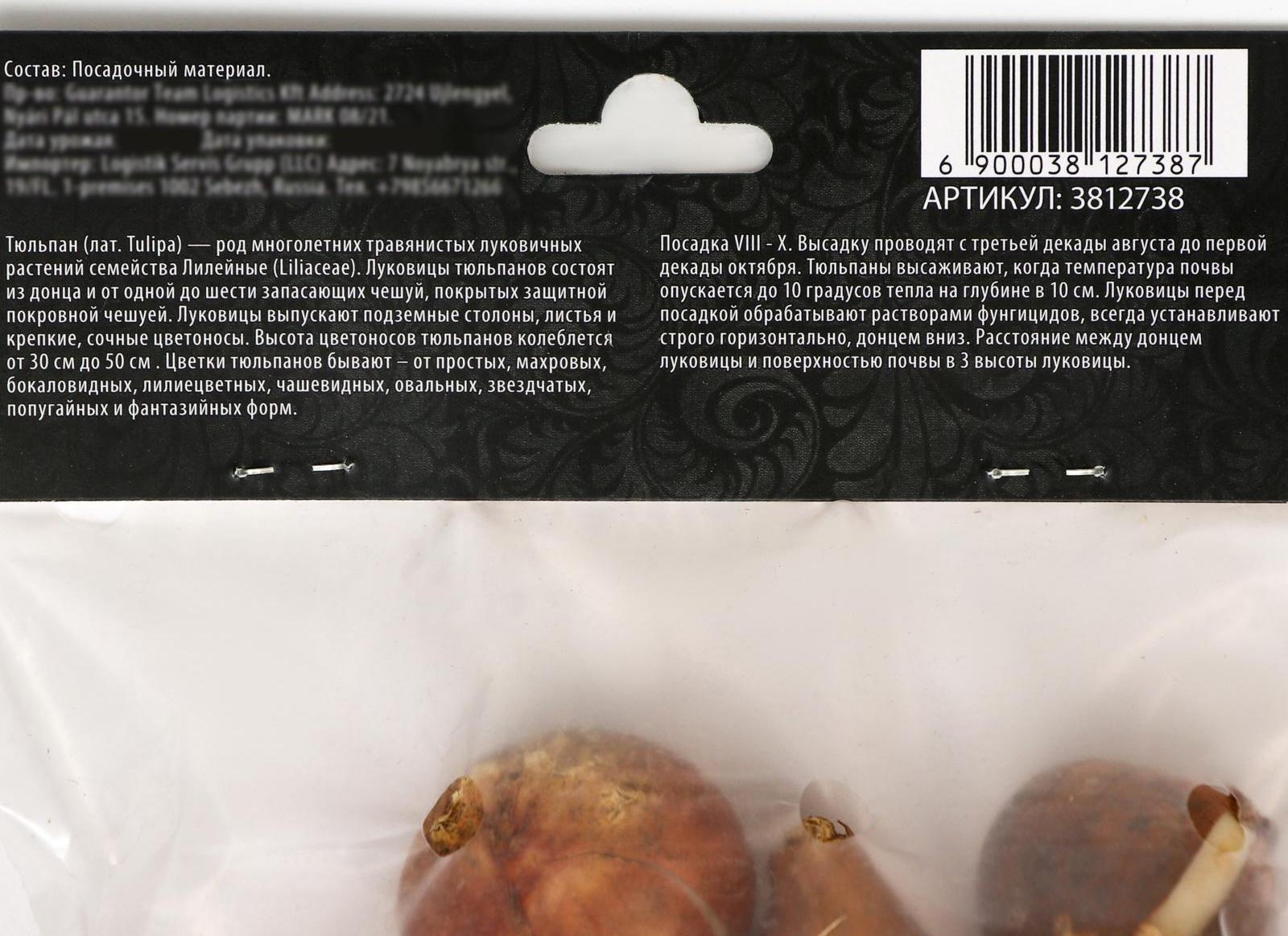 Тюльпан махровый поздний Анжелика, р-р 11/12, 5 шт, Осень 2023