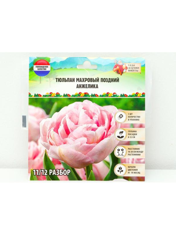 Тюльпан махровый поздний Анжелика, р-р 11/12, 5 шт, Осень 2023