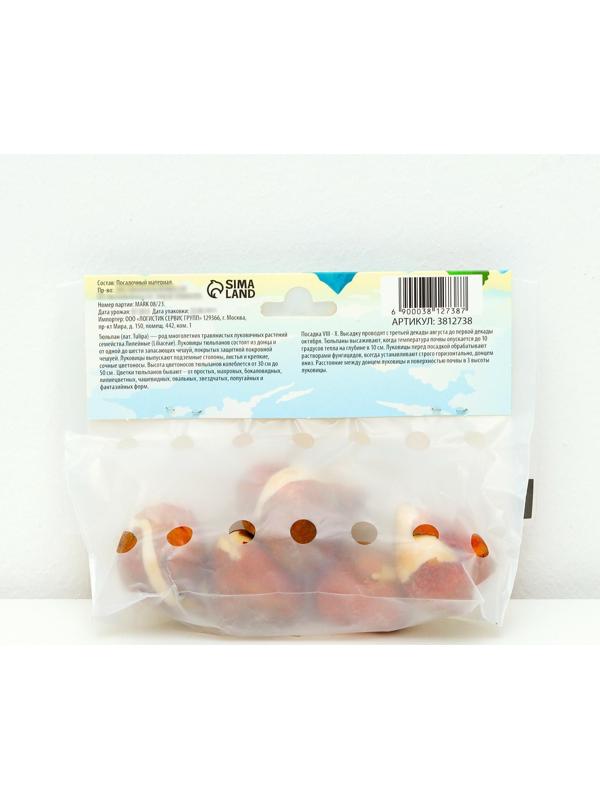 Тюльпан махровый поздний Анжелика, р-р 11/12, 5 шт, Осень 2023