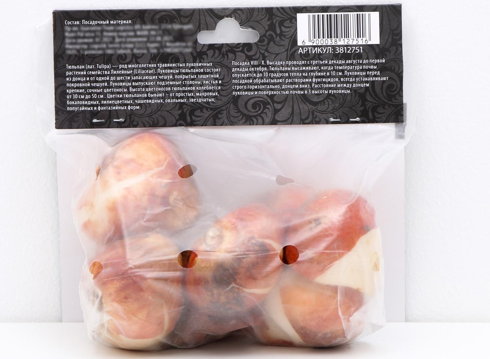 Тюльпан махровый поздний Йеллоу Помпонет, р-р 11/12, 5 шт