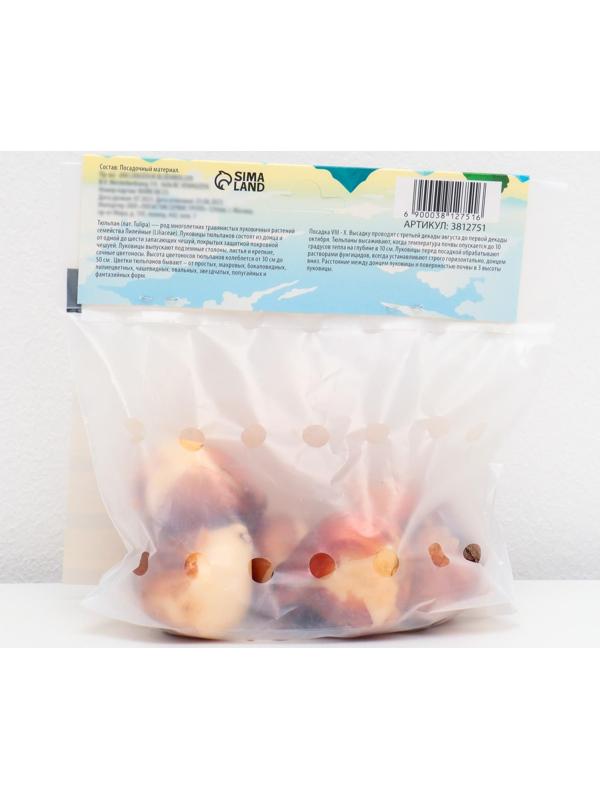 Тюльпан махровый поздний Йеллоу Помпонет, р-р 11/12, 5 шт