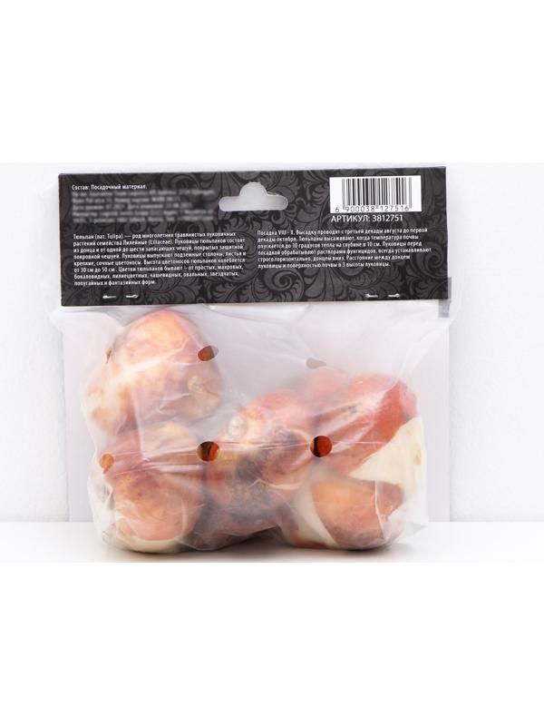 Тюльпан махровый поздний Йеллоу Помпонет, р-р 11/12, 5 шт