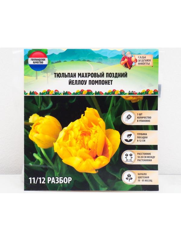 Тюльпан махровый поздний Йеллоу Помпонет, р-р 11/12, 5 шт