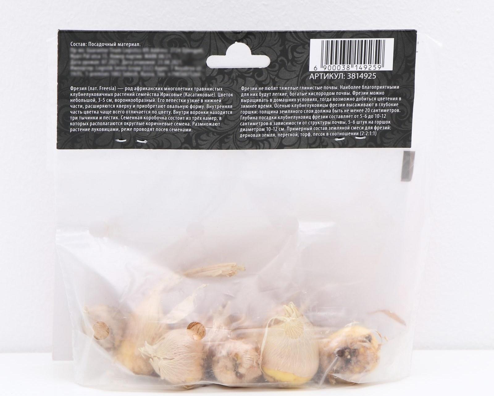 Фрезия махровая Микс, р-р 7/8, 7 шт